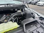 2025 Ford F-150 SuperCrew Cab 4x4 Pickup for sale #E17462 - photo 19