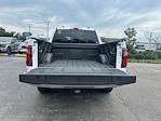 2025 Ford F-150 SuperCrew Cab 4x4 Pickup for sale #E17462 - photo 33