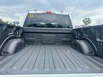 2025 Ford F-150 SuperCrew Cab 4x4 Pickup for sale #E17462 - photo 34
