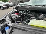 2025 Ford F-150 SuperCrew Cab 4x4 Pickup for sale #E18865 - photo 18