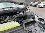 2025 Ford F-150 SuperCrew Cab 4x4 Pickup for sale #E18865 - photo 19