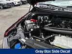 New 2025 Ford F-150 XLT SuperCrew Cab 4WD Pickup for sale #E20665 - photo 25