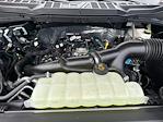 New 2025 Ford F-150 STX SuperCrew Cab 4x4 Pickup for sale #E22687 - photo 17