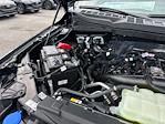 New 2025 Ford F-150 STX SuperCrew Cab 4x4 Pickup for sale #E22687 - photo 18