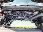 New 2025 Ford F-150 XL Regular Cab 4x4 Pickup for sale #E22838 - photo 10