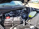 New 2025 Ford F-150 XL Regular Cab 4x4 Pickup for sale #E22838 - photo 50
