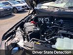 2025 Ford F-150 SuperCrew Cab 4x2 Pickup for sale #E23052 - photo 23