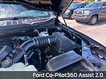 2025 Ford F-150 SuperCrew Cab 4x2 Pickup for sale #E23052 - photo 25