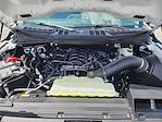 New 2025 Ford F-150 XL Regular Cab 4x4 Pickup for sale #E23645 - photo 13