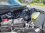 New 2025 Ford F-150 XL Regular Cab 4x4 Pickup for sale #E23645 - photo 15