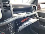 New 2025 Ford F-150 XL Regular Cab 4x4 Pickup for sale #E23645 - photo 41