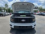2025 Ford F-150 SuperCrew Cab 4x2 Pickup for sale #E24634 - photo 14