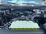 2025 Ford F-150 SuperCrew Cab 4x2 Pickup for sale #E24634 - photo 15