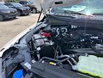 2025 Ford F-150 SuperCrew Cab 4x2 Pickup for sale #E24634 - photo 16