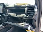 2025 Ford F-150 SuperCrew Cab 4x2 Pickup for sale #E24634 - photo 29