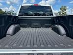 2025 Ford F-150 SuperCrew Cab 4x2 Pickup for sale #E24634 - photo 31