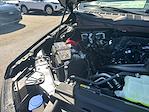New 2025 Ford F-150 STX SuperCrew Cab Pickup for sale #E24716 - photo 20