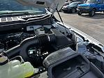 New 2025 Ford F-150 STX SuperCrew Cab Pickup for sale #E24779 - photo 23