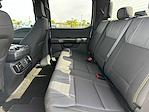 New 2025 Ford F-150 STX SuperCrew Cab Pickup for sale #E24779 - photo 28