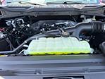 2025 Ford F-150 SuperCrew Cab 4x4 Pickup for sale #E36469 - photo 17