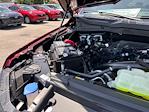 2025 Ford F-150 SuperCrew Cab 4x4 Pickup for sale #E36469 - photo 18