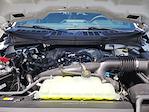 New 2025 Ford F-150 STX SuperCrew Cab Pickup for sale #E36526 - photo 12