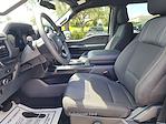 New 2025 Ford F-150 STX SuperCrew Cab Pickup for sale #E36526 - photo 17
