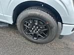 2025 Ford F-150 SuperCrew Cab 4x2 Pickup for sale #E37048 - photo 11