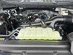 2025 Ford F-150 SuperCrew Cab 4x2 Pickup for sale #E37048 - photo 15