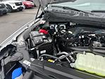 2025 Ford F-150 SuperCrew Cab 4x2 Pickup for sale #E37048 - photo 16