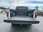 2025 Ford F-150 SuperCrew Cab 4x2 Pickup for sale #E37048 - photo 30