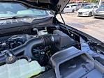 2025 Ford F-150 SuperCrew Cab 4x4 Pickup for sale #E37823 - photo 19