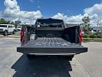 2025 Ford F-150 SuperCrew Cab 4x4 Pickup for sale #E37823 - photo 33