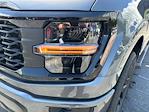 2025 Ford F-150 SuperCrew Cab 4x4 Pickup for sale #E37823 - photo 9