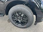 2025 Ford F-150 SuperCrew Cab 4x2 Pickup for sale #E38588 - photo 11