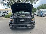 2025 Ford F-150 SuperCrew Cab 4x2 Pickup for sale #E38588 - photo 14