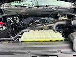 2025 Ford F-150 SuperCrew Cab 4x2 Pickup for sale #E38588 - photo 15