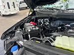 2025 Ford F-150 SuperCrew Cab 4x2 Pickup for sale #E38588 - photo 16