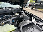 2025 Ford F-150 SuperCrew Cab 4x2 Pickup for sale #E38588 - photo 17