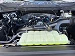 2025 Ford F-150 SuperCrew Cab 4x2 Pickup for sale #E38847 - photo 15