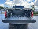 2025 Ford F-150 SuperCrew Cab 4x2 Pickup for sale #E38847 - photo 31