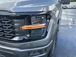 2025 Ford F-150 SuperCrew Cab 4x2 Pickup for sale #E38847 - photo 9