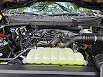 New 2025 Ford F-150 XLT SuperCrew Cab 4WD Pickup for sale #E51007 - photo 30