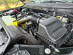 New 2025 Ford F-150 XLT SuperCrew Cab 4WD Pickup for sale #E51007 - photo 31