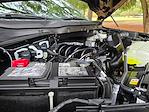 New 2025 Ford F-150 XLT SuperCrew Cab 4WD Pickup for sale #E51007 - photo 32