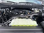 2025 Ford F-150 SuperCrew Cab 4x2 Pickup for sale #E68547 - photo 15