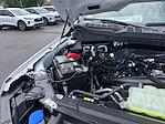 2025 Ford F-150 SuperCrew Cab 4x2 Pickup for sale #E68547 - photo 16