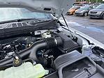 2025 Ford F-150 SuperCrew Cab 4x2 Pickup for sale #E68547 - photo 17