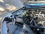 New 2025 Ford Ranger XLT SuperCrew Cab for sale #E72887 - photo 20