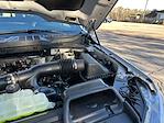 2025 Ford F-150 SuperCrew Cab 4WD Pickup for sale #E94008 - photo 24